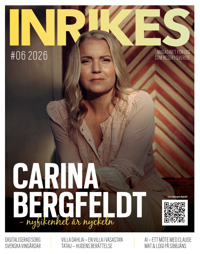 Carina Bergfeldt INRIKES